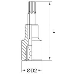 BUSSOLA CON INSERTO TORX