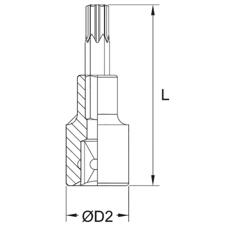 BUSSOLA CON INSERTO TORX