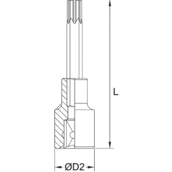 BUSSOLA CON INSERTO TORX LUNGO