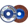 DISCO LAMELLARE PROFESSIONAL DUAL FLAP